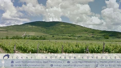 45. Tokaji Írótábor