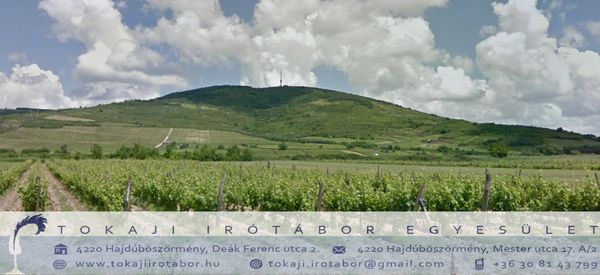 A 2014. ÉVI ÍRÓTÁBOR BESZÁMOLÓJA