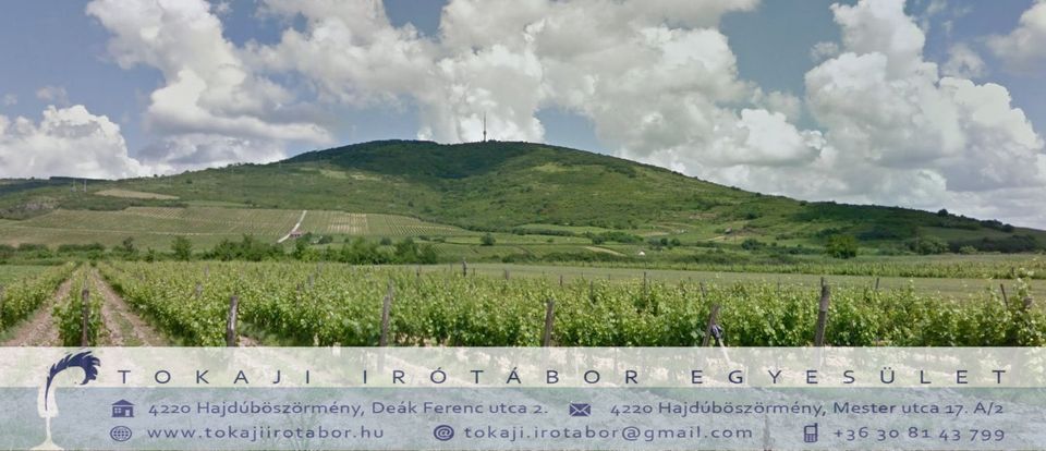 Rólunk írták