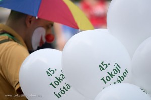 329 17b 04539 170812ps 1 